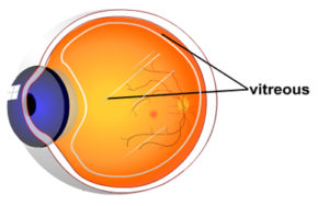 The Vitreous graph